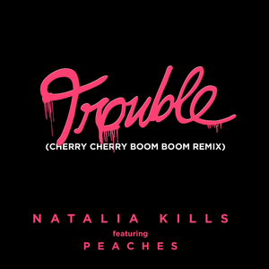 Trouble (Natalia Kills song)